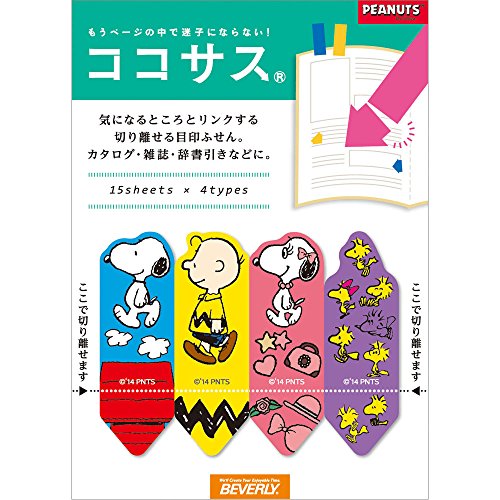 ro[ t RRTX Xk[s[C CS-045