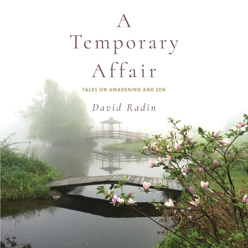 A Temporary Affair by David Radin episode artwork