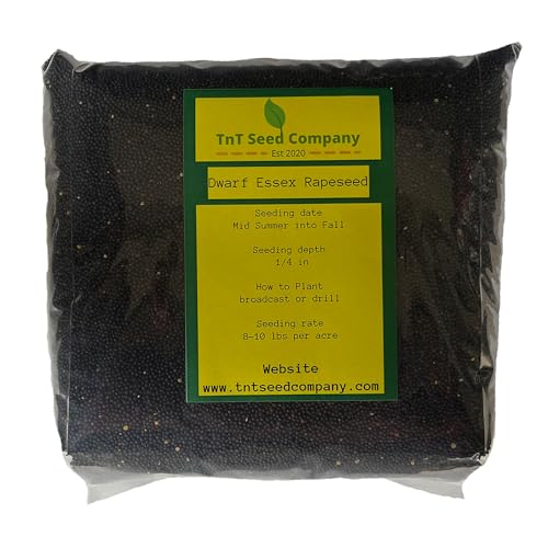 TnT Seed Company Dawrf Essex Rapeseed, Food Plot Seed, Seeds 1/2 Acre, Brassica, Deer and Turkey Food Plot Seed, Cold Tolerant, Easy to Plant and Maintain, Fall Planting, 5 lb Bag