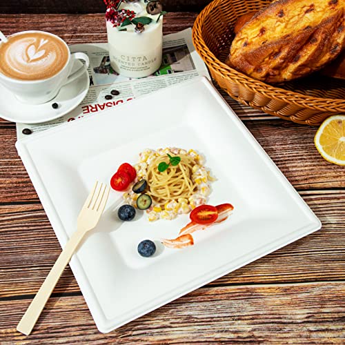 Morejoy 150Pcs Compostable Paper Plates 8Inch, Heavy Duty Biodegradable Paper Plates, Eco Friendly Disposable Square Bagasse Plates, White 8Inch 100% Natural Sugarcane Plates For Party, Bbq, Picnic #TOP5
