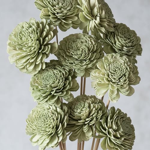 Image of Sola Belly Flower Garden Green 8 cm On Stem (10 Sticks) | Natural Dried Flower |Eco-Friendly Flowers for Home,Office,Bedroom,Table Decoration and Craft Items Corner