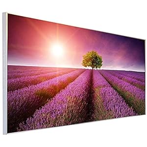 Ecowelle Infraroodverwarming met afbeelding | 900 Watt | 60×120 cm | infrarood verwarming | Made in Germany | (35)