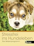 Stressfrei ins Hundeleben: Das Welpenprogramm
