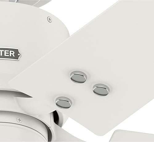 Miniatura 10 de Hunter Ventilador de techo de transición de 52 pulgadas de color blanco mate para interiores y exteriores y cadena de tracción