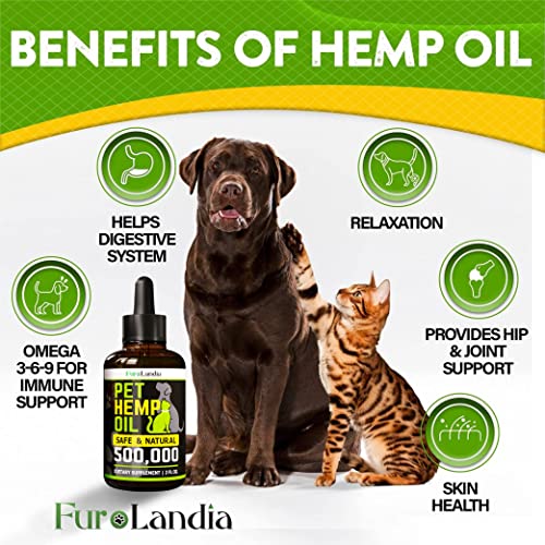 (2 Pack) Hemp Oil for Dogs and Cats - Dog Calming Aid - Hip and Joint Support and Skin Health, Immunity - Rich in Omega 3-6-9 - Pet Hemp Oil Drops - Made in USA - Image 3