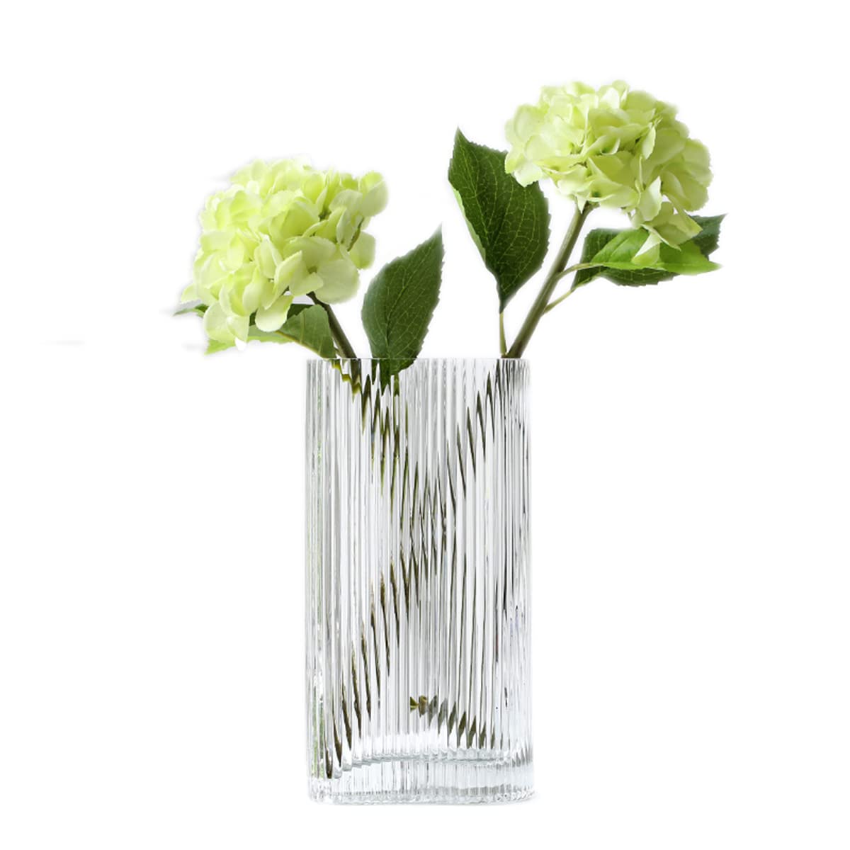 ＧＵＬＡＹＩ 花瓶 ガラス 花瓶 おしゃれ 大 花瓶 北欧 花瓶 30cm 20cm フラワーベース 花器 シンプル 透明 広口ガラスボトル おしゃれ シンプル アレンジ インテリア 水栽培 生け花 造花 インテリア雑貨 飾り瓶 北欧 (透明-高さ:30cm)