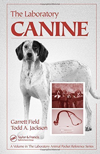 When will my dog have her first season