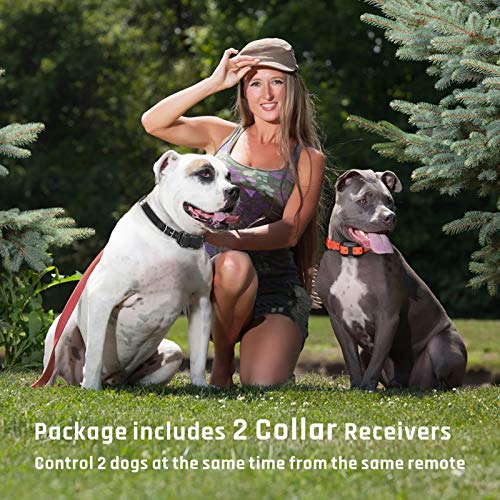 iSPECLE Dog Training Collar, Waterproof Rechargeable 2600ft Remote Dog Shock Collar with LED Light, Beep, Vibration, Shock for Medium/Large Breed 2 Electronic Collars, Neck Lanyard