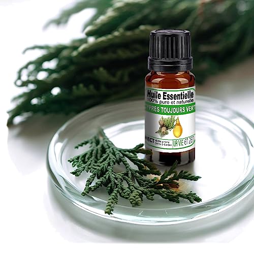 VIE EN ZEN - Huile Essentielle Cyprès Toujours Vert 10 ml - HECT Chémotypée Pure et Naturelle - Tonique, Boisée & Respiration - Aromathérapie (Cupressus...