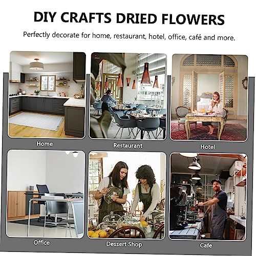 2 cajas de flores secas surtidas para manualidades DIY miniatura 4