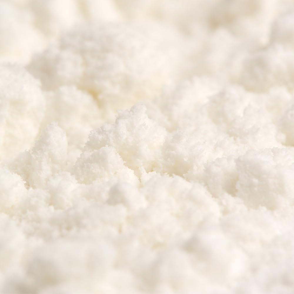 Leche de Coco en Polvo - Bebida Vegetal de Coco - Salud Viva Bio 200g