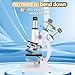 Microscope for Kids，40X-2000X Compound Microscope Mobile Phone Adapter with Microscope Slide Microscope kit for Home School Laboratories for Children Students