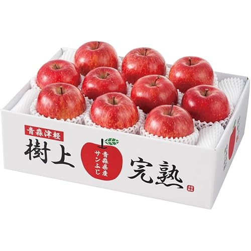 yΕMtg 2025z XY ㊮nTӂ (Ε̂)