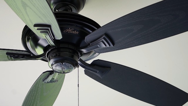 Amazon.com: Hunter Fan Company, 53348, 52 inch Rainsford Matte