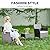 YSSOA Patio Furniture Set 3 Pieces Outdoor Rattan Wicker Chairs with Soft Cushion and Glass Coffee Table, Waterproof Conversation Bistro Loveseat for Garden Backyard, Balcony, Terrace, Black