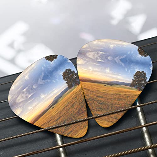 Ensemble de 12 médiators de guitare paysage d’herbe dorée d’automne pour guitare acoustique, guitare électrique… - Les Beatles, Paul McCartney, John Lennon, RIngo Starr, George Harrison Ensemble de 12 médiators de guitare paysage d'herbe dorée d'automne pour guitare acoustique, guitare électrique… – Image 8