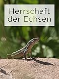  Herrschaft der Echsen