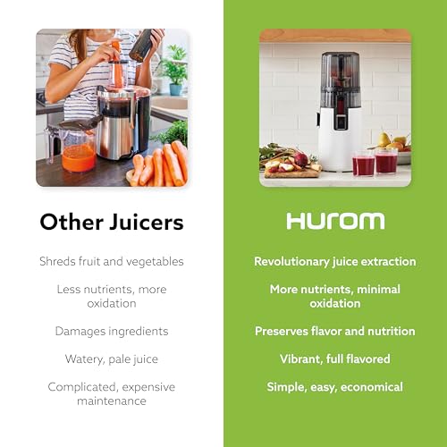 Vertical Masticating Juicer Machine