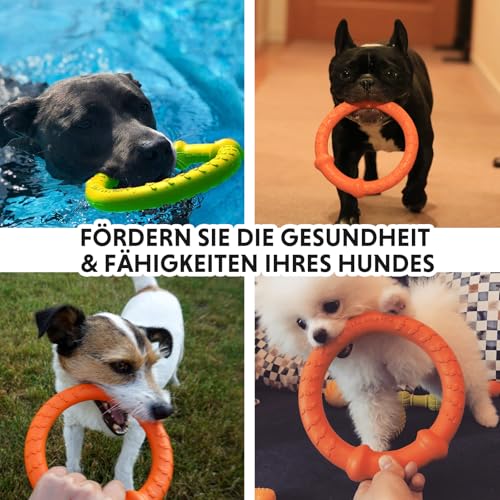 LaRoo Hund Frisbee Hundefitness Ring,Wasserspielzeug Unzerstörbare Float Hunde Disc Flugscheibe Spielzeug,Sommer Pet Training für Mittel und kleine Hunde
