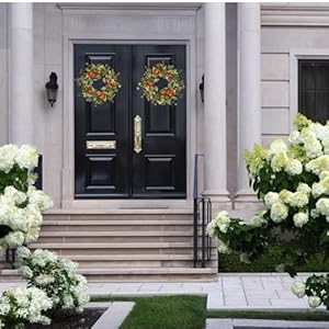 Spring Wreath Artificial Carrot Eucalyptus Wreath 22IN, Orange Green White, Spring Easter Summer Front Door Wall Decor Spring Wreath Artificial Carrot Eucalyptus Wreath 22IN Orange Green White Spring Easter Summer Front Door Wall Decor