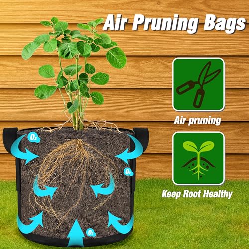 Image of 12-Pack 3 Gallon Grow Bags