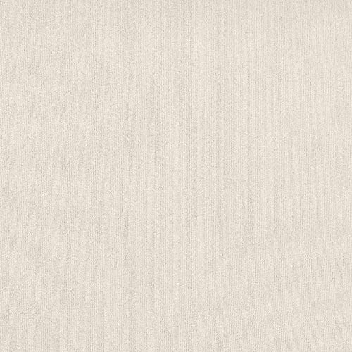 Amazon Basics Lightweight Ruffled Bed Skirt, Classic Style, Soft And Stylish 100% Microfiber With 16" Drop-Queen, Off White #TOP4