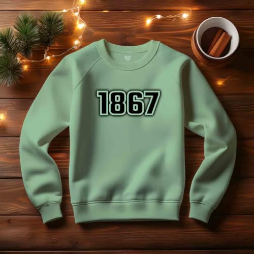 Sweatshirt 1867 unisexe vert menthe en coton confortable