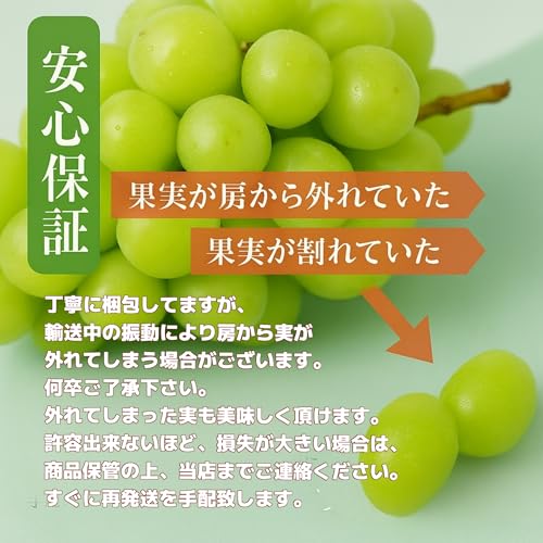 FRUITS PARK シャインマスカット クイーンルージュ 食べ比べセット の商品画像 7