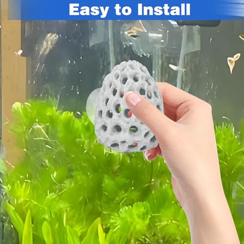 Image of HINGTAI Shrimp Dome Hide Betta Habitat Fish Tank Tunnel with Suction Cup Aquarium Fish Cave Hideout Ornament Accessories for Shrimp Guppy Hiding Resting White