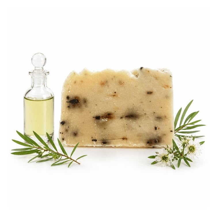 Jabón de Árbol de Té Artesanal y Vegano – Jabón Facial, de Manos y Cuerpo | Antibacteriano, Purificante y Biodegradable | Hecho en España con Ingredientes Naturales | 100 g (1, Árbol de Té)