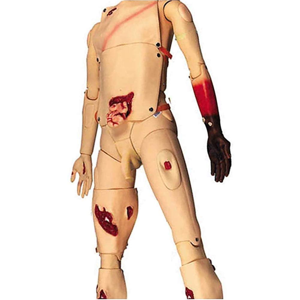 Patientenversorgungssimulator, Krankenpflegepuppe, multifunktionales Erste-Hilfe-Trauma, menschliches anatomisches Modell für die Krankenpflege, medizinische Ausbildung, naturwissenschaftliche Ausbild