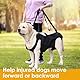 Hundeliftgeschirr, Haustierunterstützung Hund Lift Support für Hunde, Rehabilitation Geschirr Mobilität Sling für Alt, Gelenkverletzungen, Arthritis, Stabilitätsverlust Hunde, Schwarz (L)