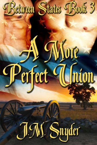 Cover zum Buch A More Perfect Union