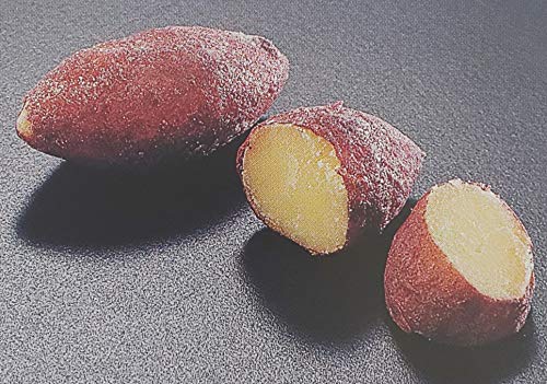 Ăv`@500giܒ43`45jL5cm@Ɩp@Ⓚ@