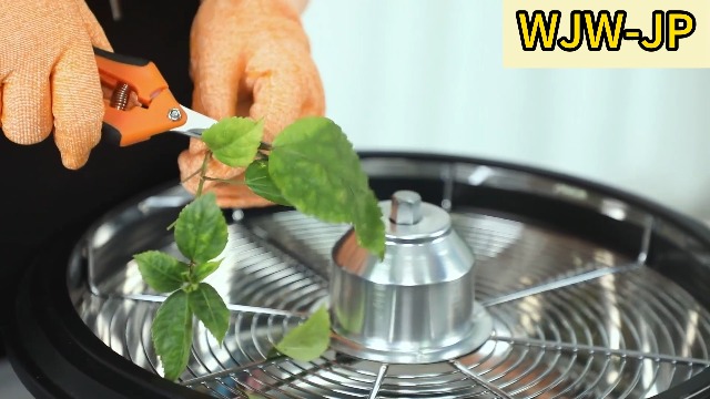 Amazon.co.jp: つぼみ葉ボウルトリマー 手動式リーフトリマーカッター