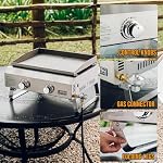 ONLYFIRE GRILLS Table-plate Griple à gaz, 2-Burner Grill à gaz propane pour cuisine extérieure, Poêle portable pour BBQ Grill Camping Tailgating RV, Acier inoxydable GS319