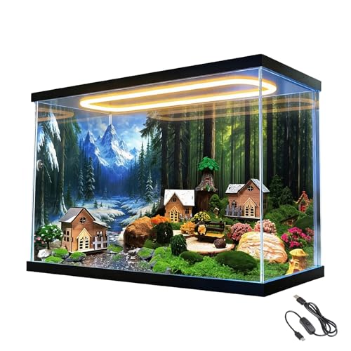Vitrina metacrilato Vitrina de Acrílico Transparente con Luz LED, Caja de Exhibición de Acrílico Extragrande, Vitrina Rectangular para Paisajes en Miniatura(25x15x15cm/10x6x6in)