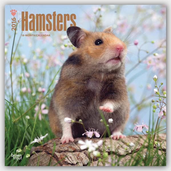 Hamsters 2016 Wall