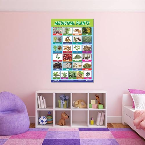 Image of ESCAPER Medicinal Plants Educational Charts for Kids, Charts for Kids Learning (11.5 x 17.5 inches), Kids Study Material, Kids Learning Books, Educational Posters