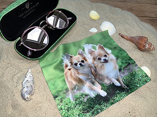 VON LILIENFELD Chihuhuas Portaocchiali Astuccio