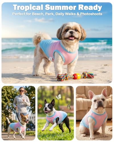 Image of CuteBone Ombre Dog Tank Top for Small Dogs, Cats - Tropical Summer Pet Vest - Breathable Ice Silk Cooling Shirt - Sun Protection, Photo, Casual Play, Walks