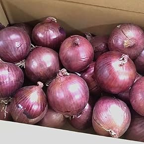 たまねぎ - Amazon.co.jp