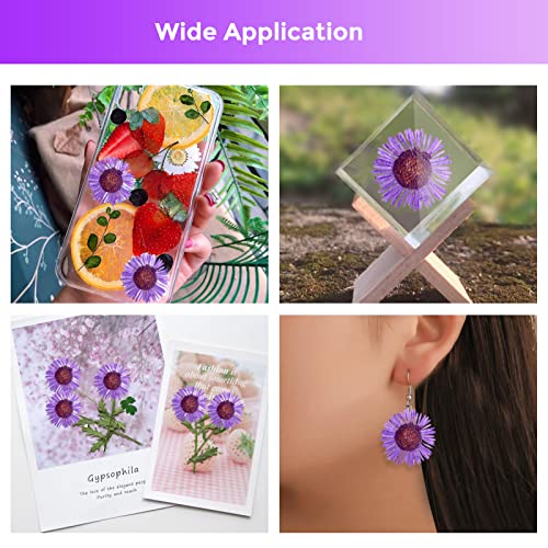 60 flores secas de crisantemo en aguja moradas para resina miniatura 3
