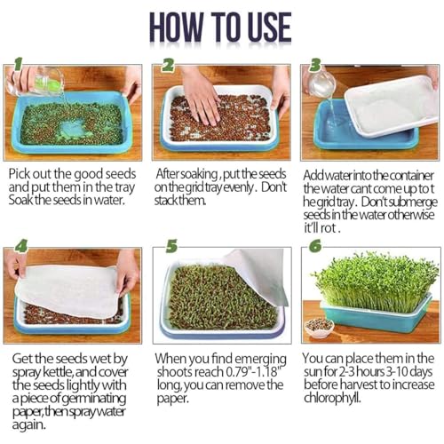 Image of Harvest House Germination Plastic Tray (Pack of 3) | Hydroponics Sprouter and Grass Growing Tray | Aquaponics Tray for Garden, Home and Office | Plant and Vegetables Growing kit Tray