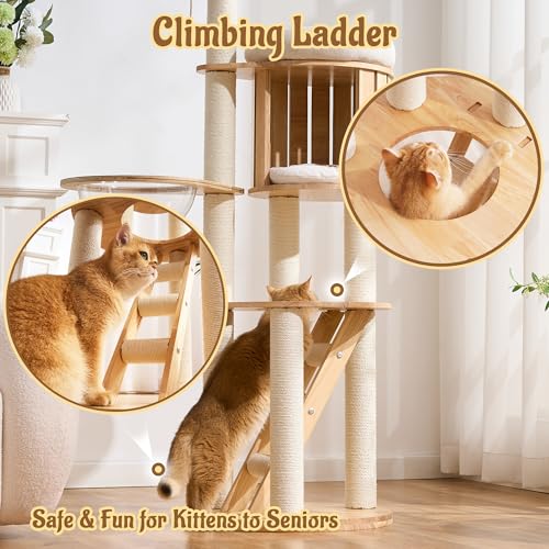 Árbol moderno de madera sólida para gatos interiores 61.5 in miniatura 4
