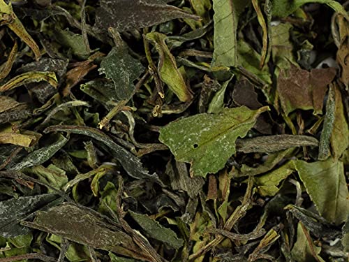 Té blanco orgánico de China k.b.A. Pai Mu Tan Mei Zang DE-ÖKO-006, 1 kg