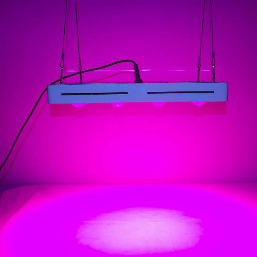 Cultivez la lumière, la lumière des Plantes d'intérieur, la lumière de Croissance LED 600W avec des lumières de Croissance Bleues Rouges pour Les Plantes d'intérieur, Les Lampes de croissanc