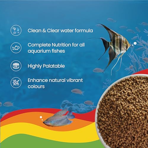 Image of Mini Floating Fish Food Pellets 100g | 1.8mm Pellet Size | Highly Digestible & Nutritious Fish Feed for All Aquarium Fish