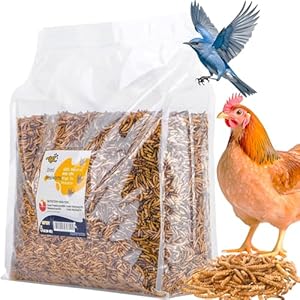 RANZ 5LBS Non-GMO Dried Mealworms for Chickens, High Protein Meal Worms, Premium Chicken Feed, Perfect Bird Food and Chicken Treats, Whole Large Mealworms for Wild Birds, Ducks, Fish