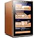 HSRG Elektryczna chłodziarka do cygar, inteligentna szafka na cygara 70 l, z regulacją wilgotności, stała temperatura, miejsce na maks. 400 cygar, ze zdejmowanym regałem z drewna cedrowego